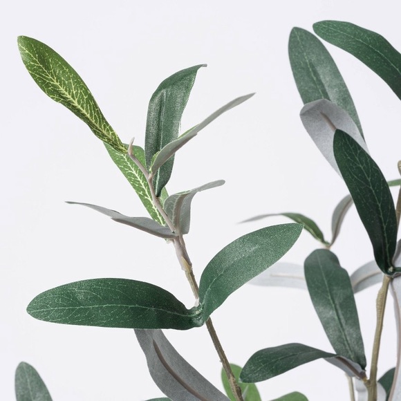 THRESHOLD Studio McGee Olive Plant Arrangement NWT - Picture 3 of 3
